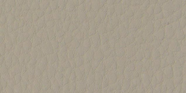 Bmw cream beige leather dye #6